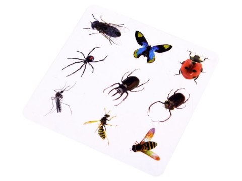 JOKOMISIADA Zestaw kreatywny prehistoryczny bursztyn ZA2923