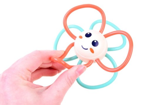 Hola Grzechotka Grzechotki 5szt zwierzątka ZA3679