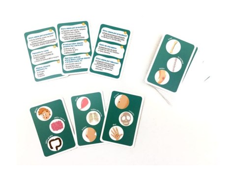 Kapitan Nauka Kapitan Nauka Ciało człowieka Gra edukacyjna GR0480