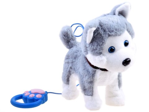 JOKOMISIADA Interaktywny piesek Husky na smyczy szczeka ZA3888