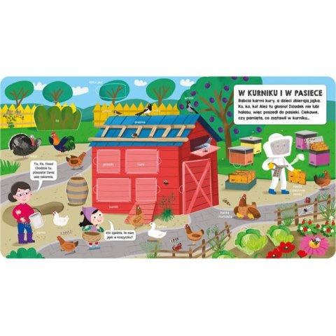 Aksjomat Aksjomat Książeczka z okienkami. Na wsi KS0609