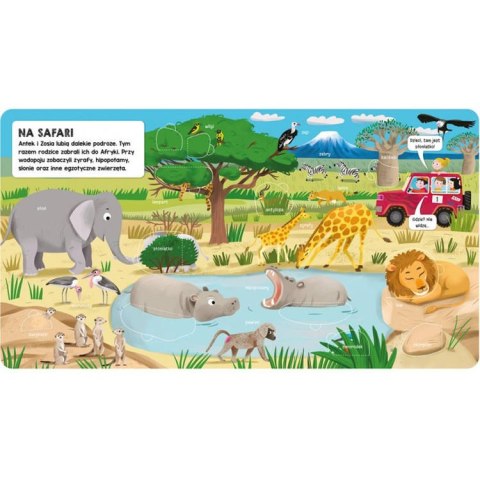 Aksjomat Aksjomat Książeczka z okienkami. Zwierzęta KS0610