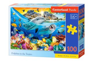Castorland Puzzle 100 el. Dolphins in the Tropics