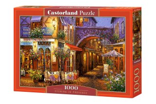 Castorland Puzzle 1000 el. Evening in Provence