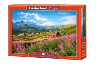 Castorland Puzzle 1000 el. Hala Gąsienicowa, Tatras, Poland