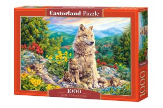 Castorland Puzzle 1000 el. New Generation