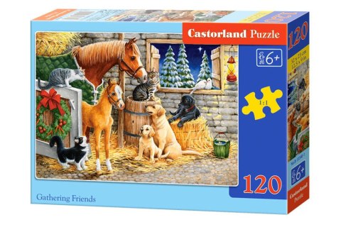 Castorland Puzzle 120 el. Gathering Friends