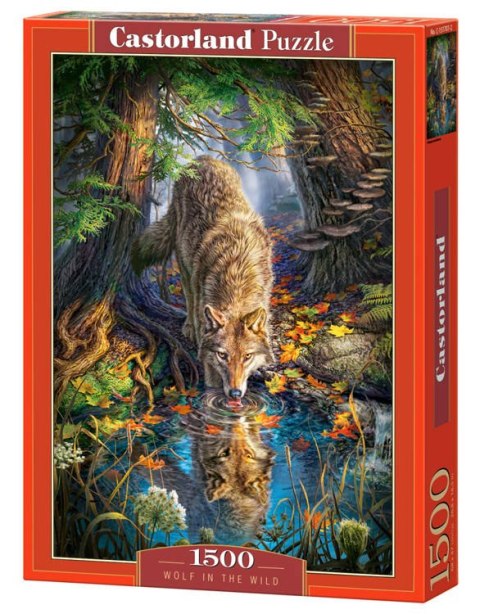 Castorland Puzzle 1500 el. Wolf in the Wild