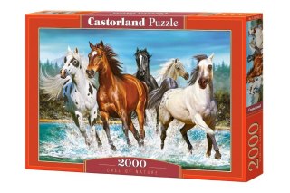 Castorland Puzzle 2000 el. Call of nature