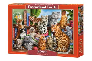 Castorland Puzzle 2000 el. House of Cats
