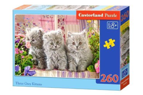 Castorland Puzzle 260 el. Three Grey Kittens