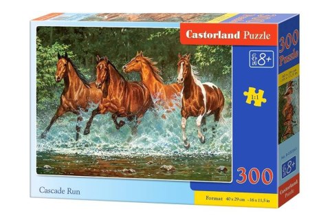 Castorland Puzzle 300 el. Cascade Run