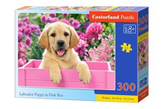 Castorland Puzzle 300 el. Labrador Puppy in Pink Box
