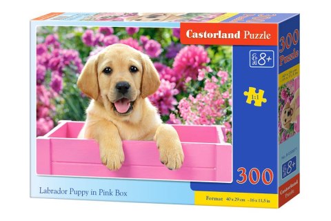 Castorland Puzzle 300 el. Labrador Puppy in Pink Box