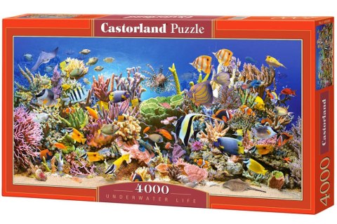 Castorland Puzzle 4000 el. Underwater Life