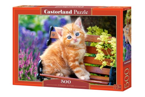 Castorland Puzzle 500 el. Ginger Kitten