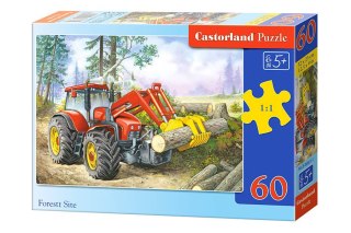 Castorland Puzzle 60 el. Forest Site