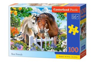 Castorland Puzzle 100 el. Best Friends