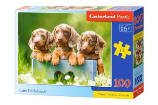Castorland Puzzle 100 el. Cute Dachshunds