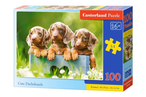 Castorland Puzzle 100 el. Cute Dachshunds
