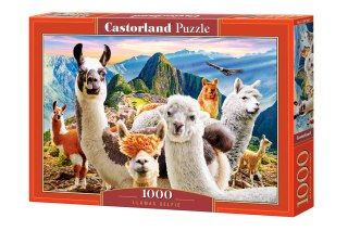 Castorland Puzzle 1000-elementów Llamas Selfie