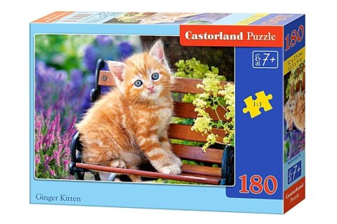 Castorland Puzzle 180 el. Ginger Kitten
