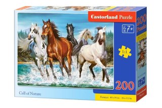 Castorland Puzzle 200 el. Call of Nature
