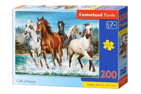 Castorland Puzzle 200 el. Call of Nature