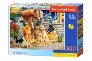 Castorland Puzzle 300 el. Gathering Friends