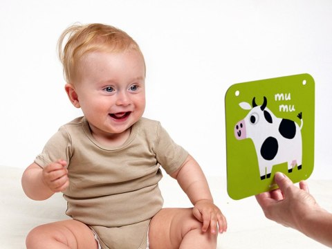 CzuCzu CzuCzu Duże KARTY kontrastowe od 6 m + ZA4238