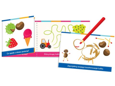 CzuCzu CzuCzu Książeczka Zabawy logiczne 3-4 lat ZA4234