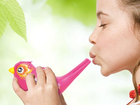 Hola Ptaszek Gwizdek wodny Water Bird birds ZA1483