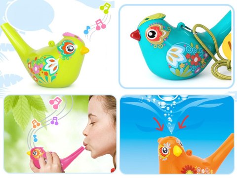 Hola Ptaszek Gwizdek wodny Water Bird birds ZA1483
