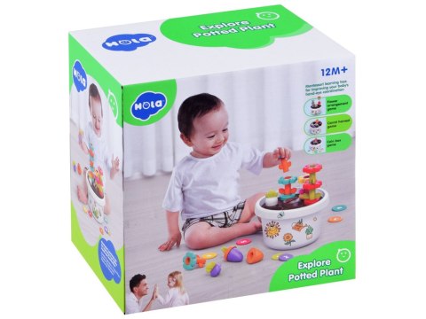 JOKOMISIADA Hola Zestaw z doniczką 12m+ sorter piramida ZA4294