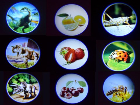 JOKOMISIADA Projektor latarka dla dzieci 24 obrazki TA0098