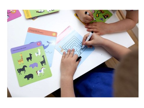 Kapitan Nauka Karty do rysowania Gryzmołki Zwierzęta 3-6l KS0686