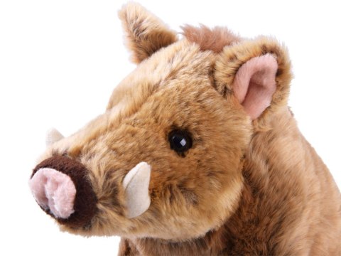 Beppe Maskotka pluszowy Dzik Pumba świnka 23cm 13392