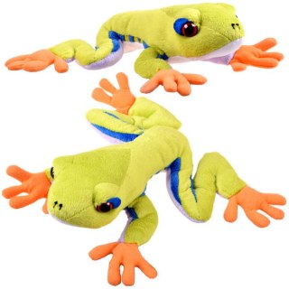 Beppe Maskotka zielona pluszowa Żaba drzewna 20cm 13358