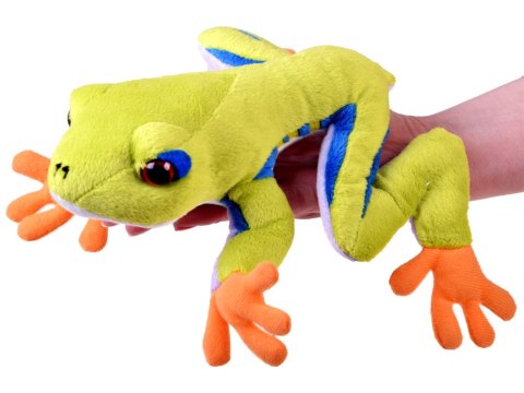 Beppe Maskotka zielona pluszowa Żaba drzewna 20cm 13358