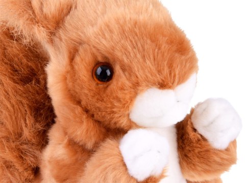 Beppe Maskotka ruda Wiewiórka pospolita 22cm 13398