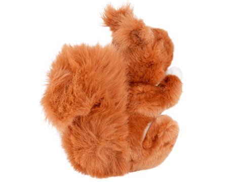 Beppe Maskotka ruda Wiewiórka pospolita 22cm 13398
