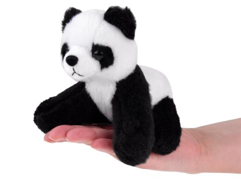 Beppe Pluszak Maskotka Panda 13cm Przytulanka 13723