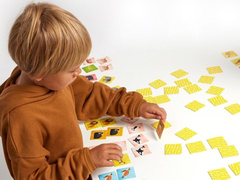 CzuCzu CzuCzu Memory Zwierzęta świata gra pamięciowa ZA4850