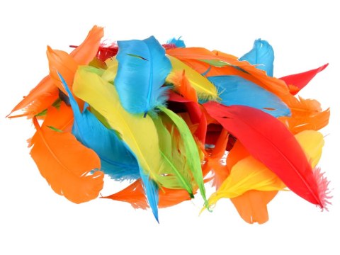 JOKOMISIADA Kreatywny MEGA zestaw do prac plastycznych oczka piórka filc ZA4822