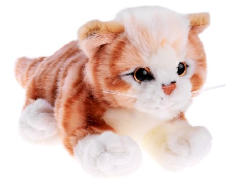 Beppe Maskotka kot rudy kotek leżący 30 cm pluszak 13736