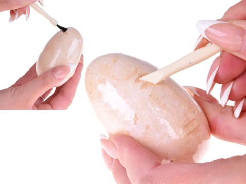 JOKOMISIADA Zestaw Archeologiczny 12 Dużych Jaj + karty Odkryj Świat Dinozaurów ZA4999