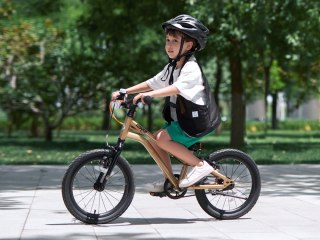 RoyalBaby RoyalBaby Lekki i Doskonały Rower dla Dzieci Gold Kable-Belt 16" RB16-45