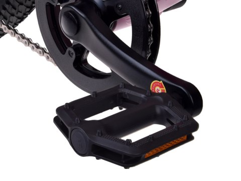 RoyalBaby RoyalBaby Rower 24" STUDENT BICYCLE 7-17 dla dzieci i młodzieży RB24-37