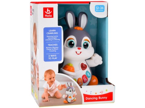 Hola Interaktywny Tańczący Królik zabawka do raczkowania dla dziecka ZA5071