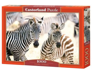 Castorland Puzzle 1000 elementów C-105021 Young Zebras zebry